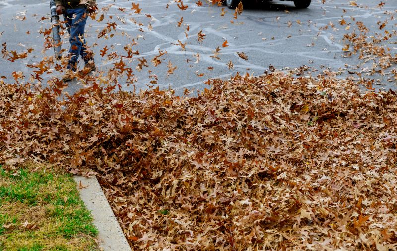 Leaf Pickup