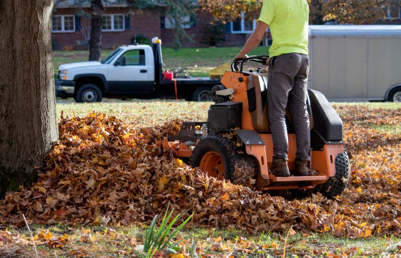 Leaf Pickup