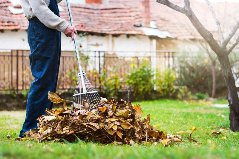 Seasonal Lawn Care Tools