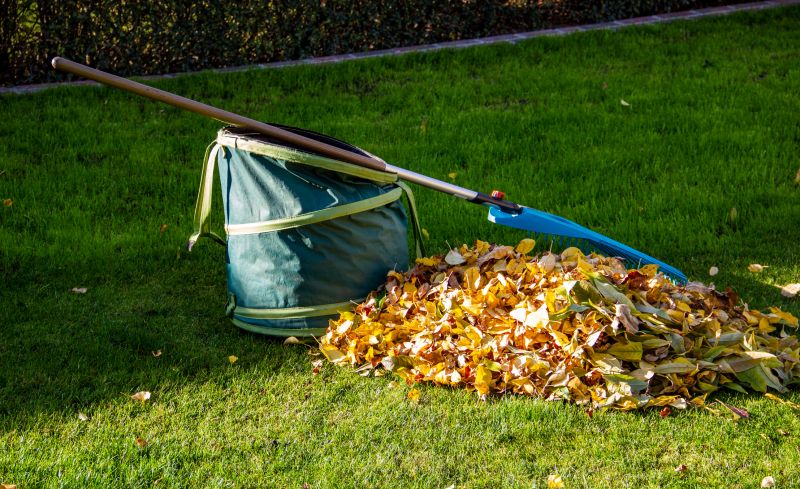 Leaf Pickup