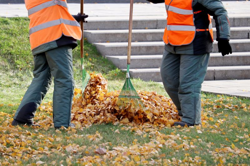 Seasonal Leaf Removal