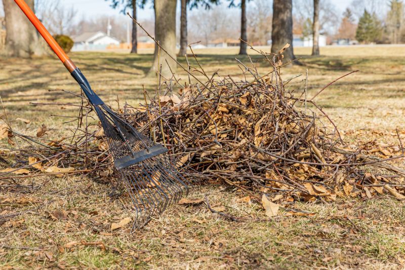 Fall Leaf Cleanup