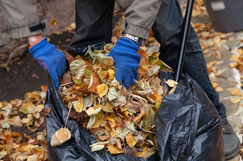 Leaf Pickup in Mid-October