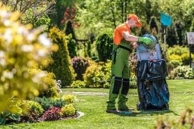 Lawn Care Services