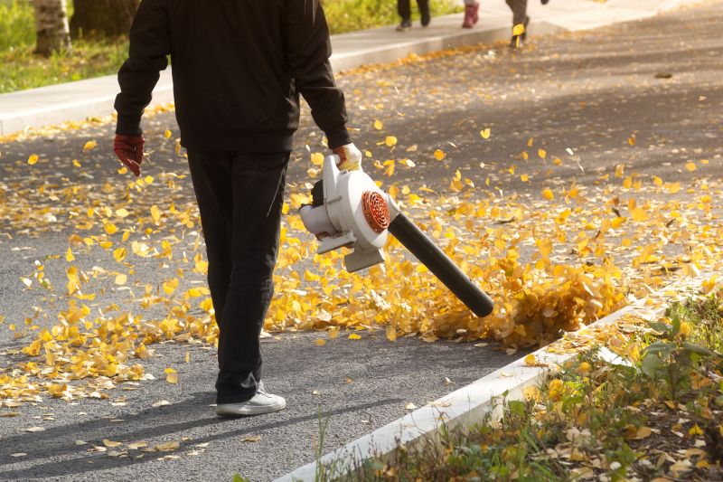 Specialized Leaf Removal Services